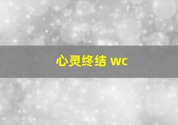 心灵终结 wc